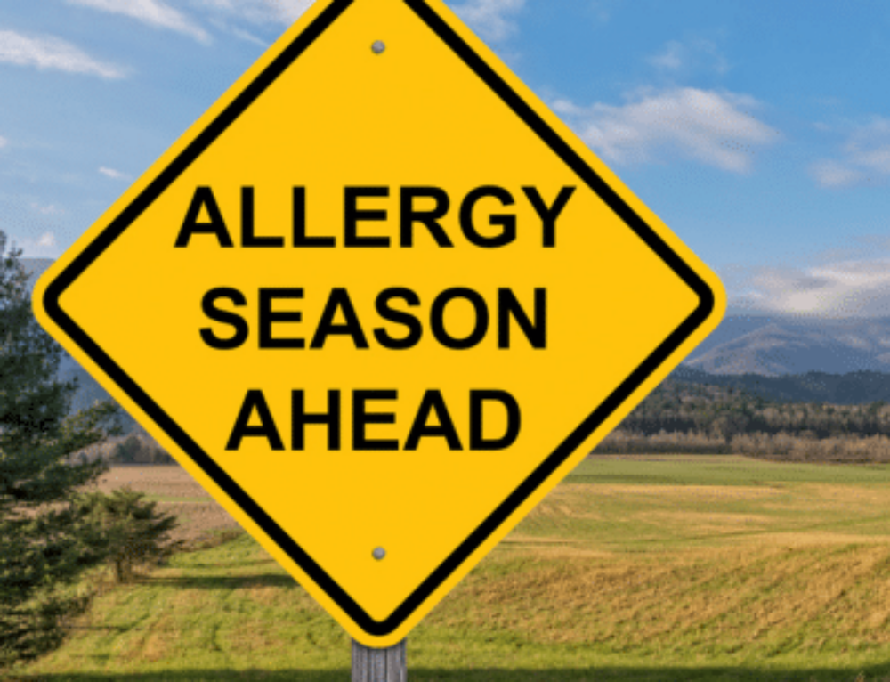 An ENT Overview Virginia ENT